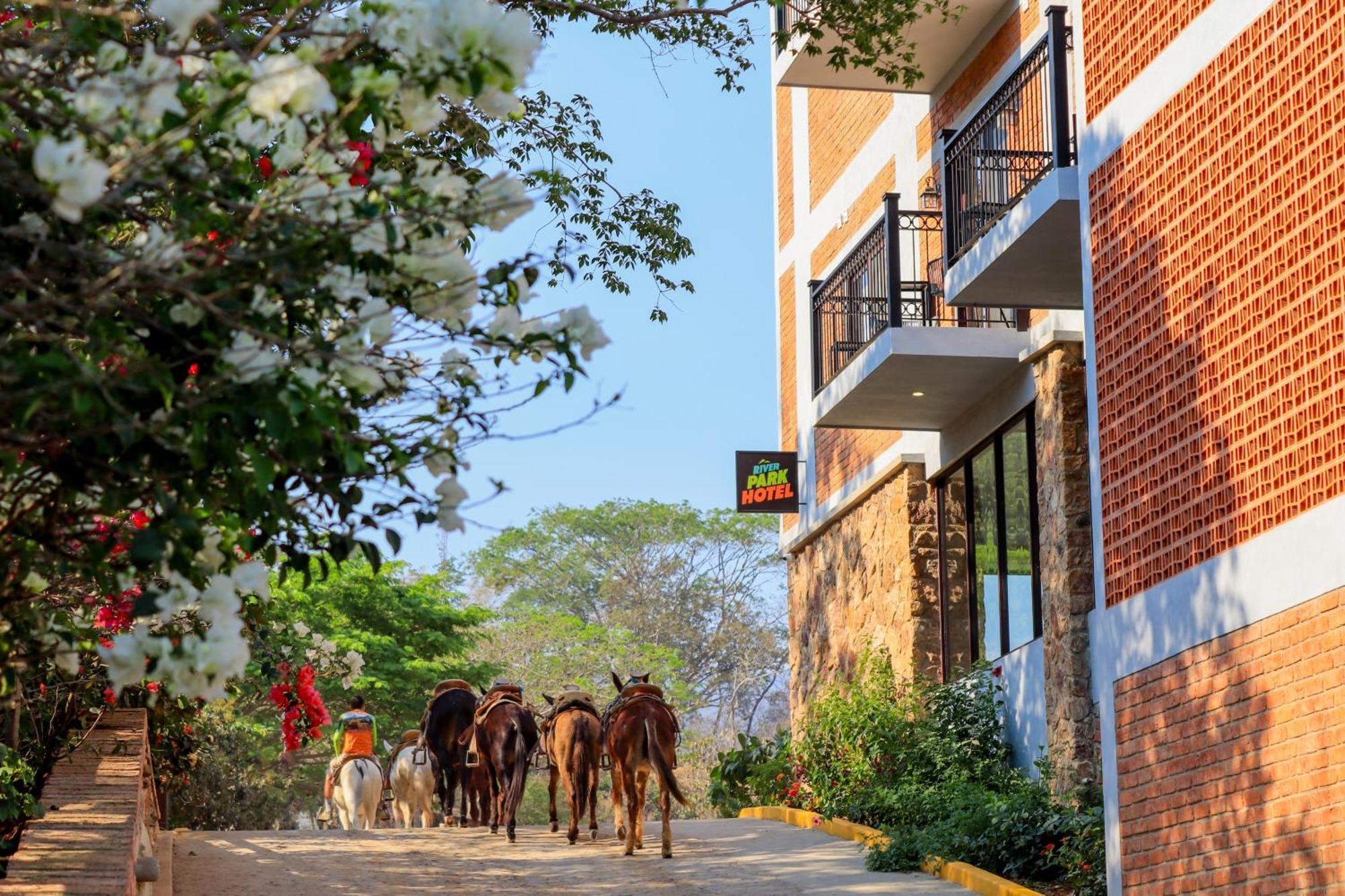River Park Hotel Puerto Vallarta Kültér fotó